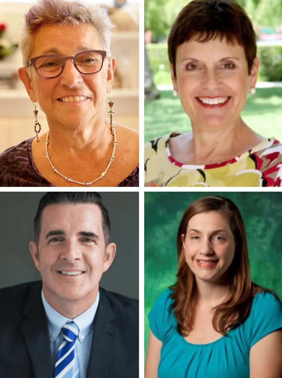 imagen de Jane Madell, Carol Flexer, Erin Schafer and Jace Wolf